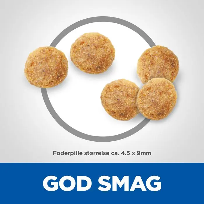 Miniaturebillede 2