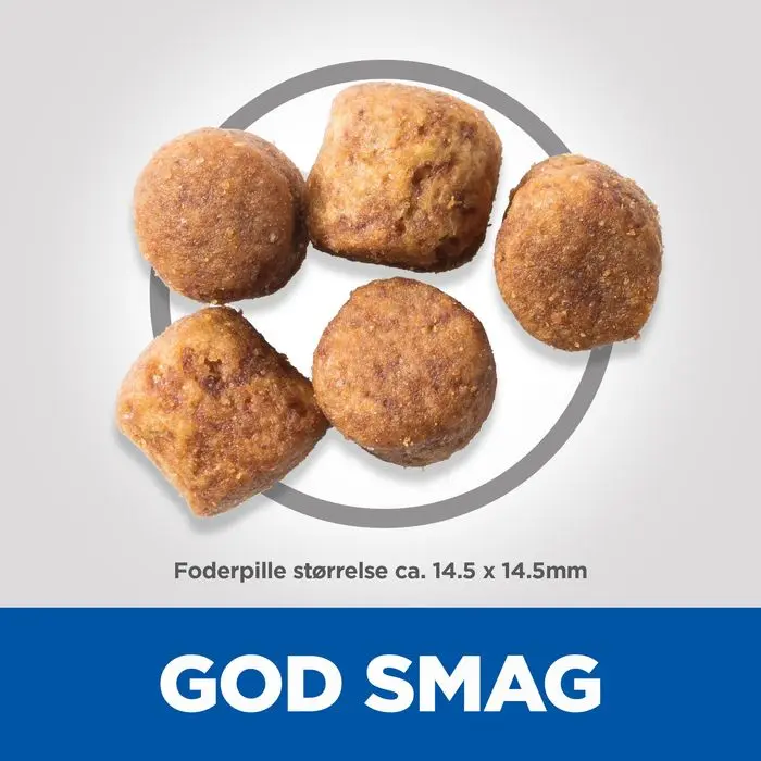 Adult Healthy Mobility Large Breed 14 kg - Image 2