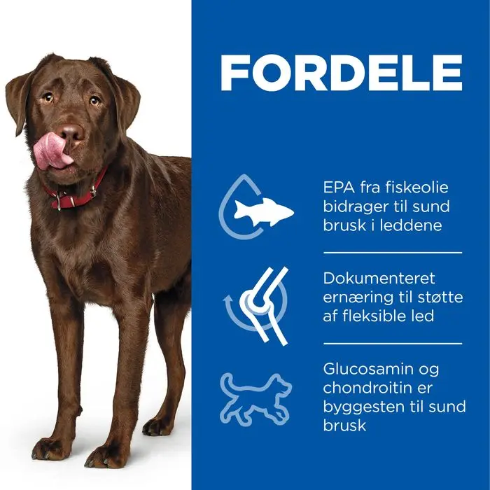 Adult Healthy Mobility Large Breed 14 kg - Image 3