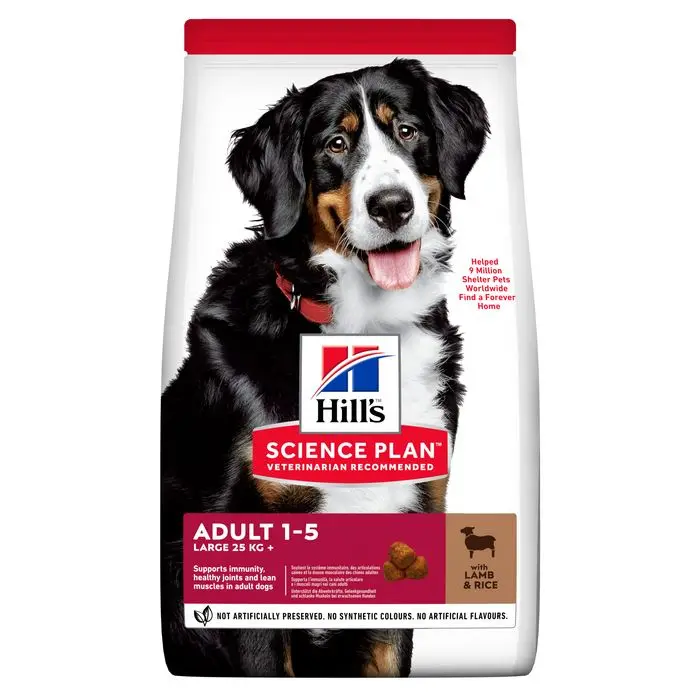 Adult Large Breed lam og ris 14 kg