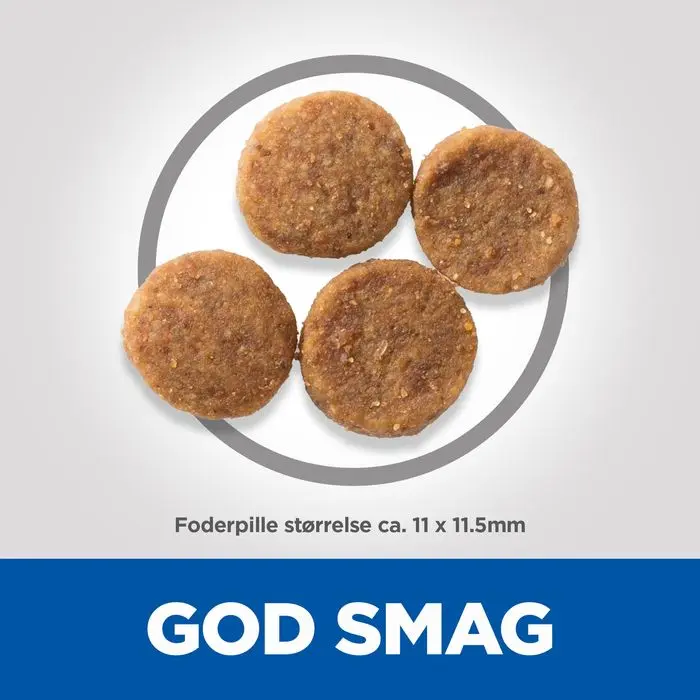 Miniaturebillede 2