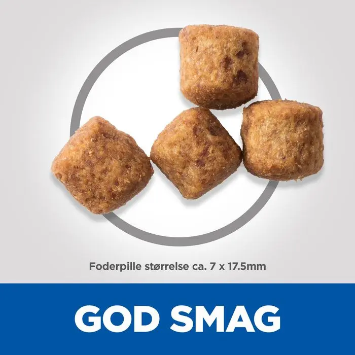 Miniaturebillede 2