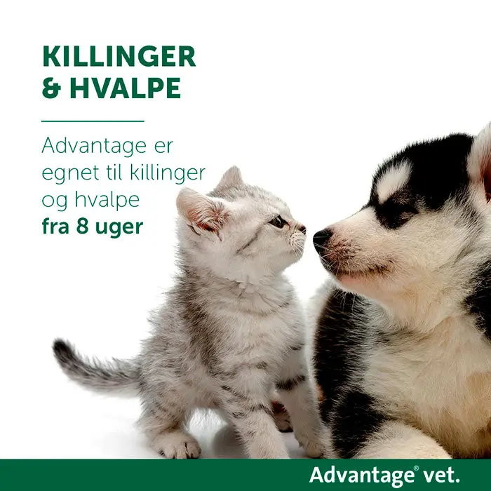 ADVANTAGE VET Loppemiddel kat under 4 kg - 4x0,4 ml - Image 2