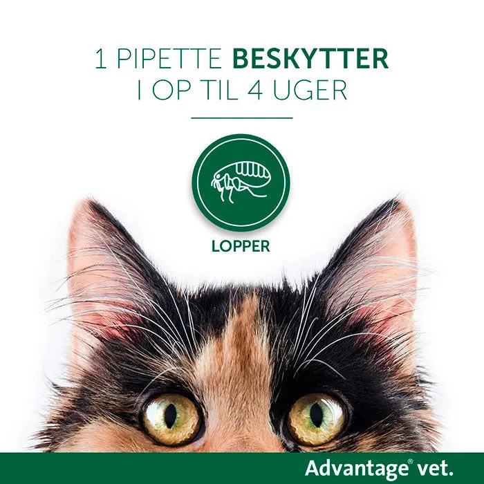 ADVANTAGE VET Loppemiddel kat under 4 kg - 4x0,4 ml - Image 5