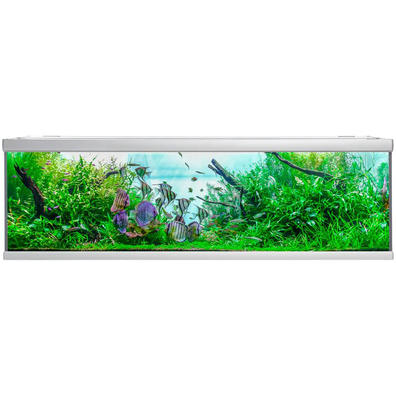 Akvarium Fusion - Image 2