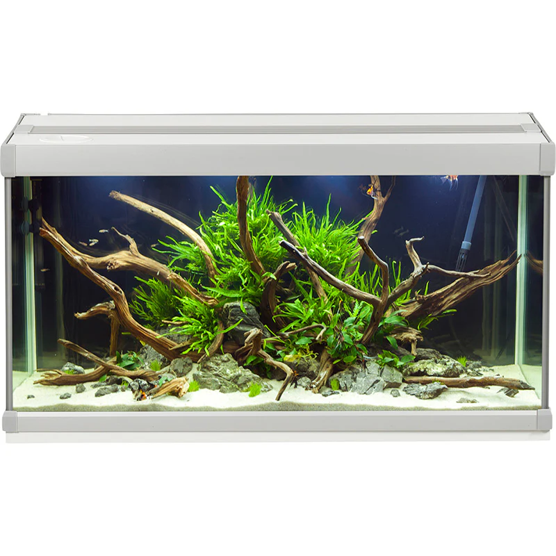Family Aquarium 80 l, 70 X 32,5 X 37 cm hvid