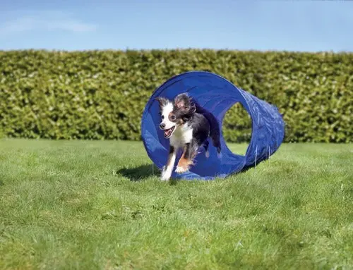 Agility tunnel 250x60 cm blå - Image 3