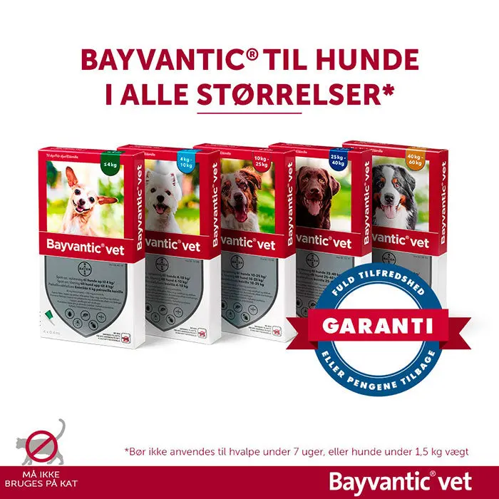 BAYVANTIC VET Flåt- & loppemiddel hund 10-25 kg - 4x2,5 ml - Image 4