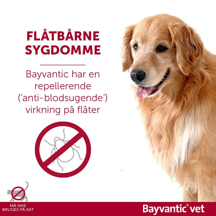 BAYVANTIC VET Flåt- & loppemiddel hund 10-25 kg - 4x2,5 ml - Image 6