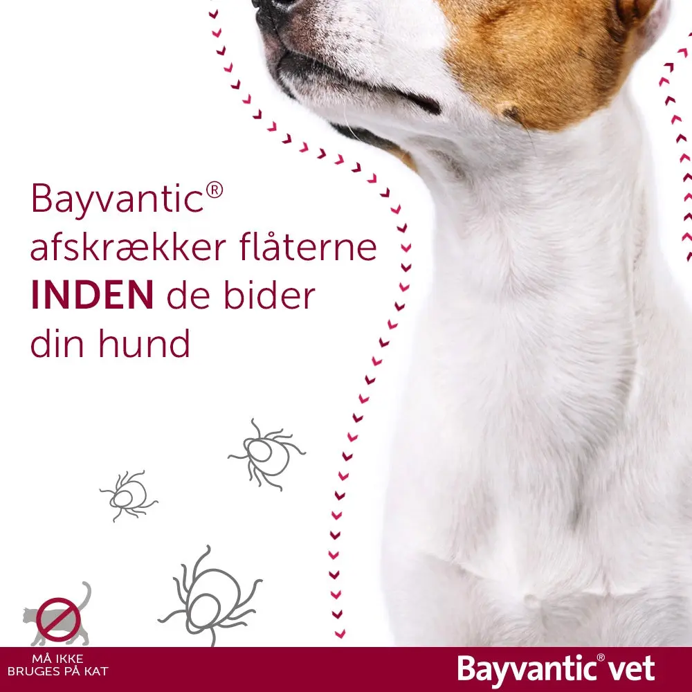 BAYVANTIC VET Flåt- & loppemiddel hund 40-60 kg - 4x6,0 ml - Image 4