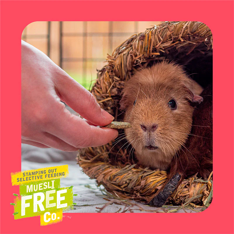 Winter Berry Bakes Snack 60 g - Image 4