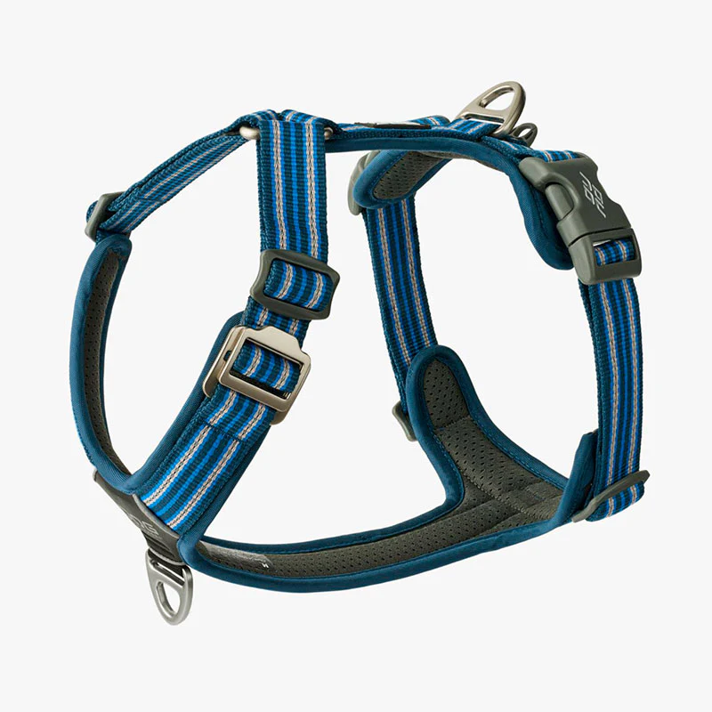Comfort Walk Air sele Ocean-Blue - Image 2