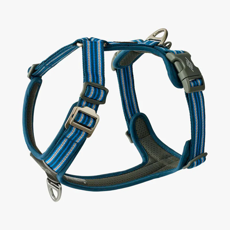 Comfort Walk Air sele Ocean-Blue - Image 3