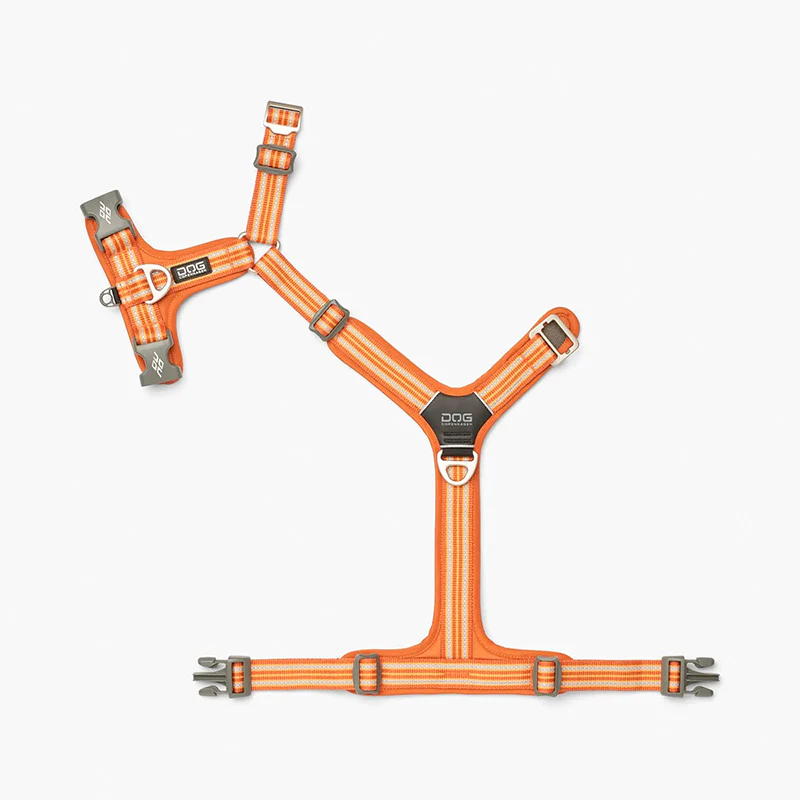 Comfort Walk Air sele Orange - Image 5