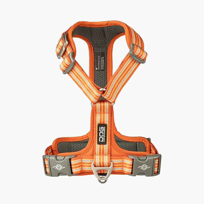 Comfort Walk Air sele Orange - Image 7