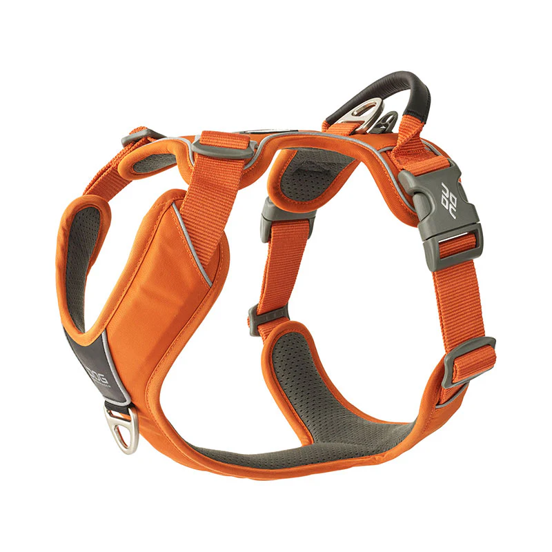 Comfort Walk Pro sele Orange - Image 4