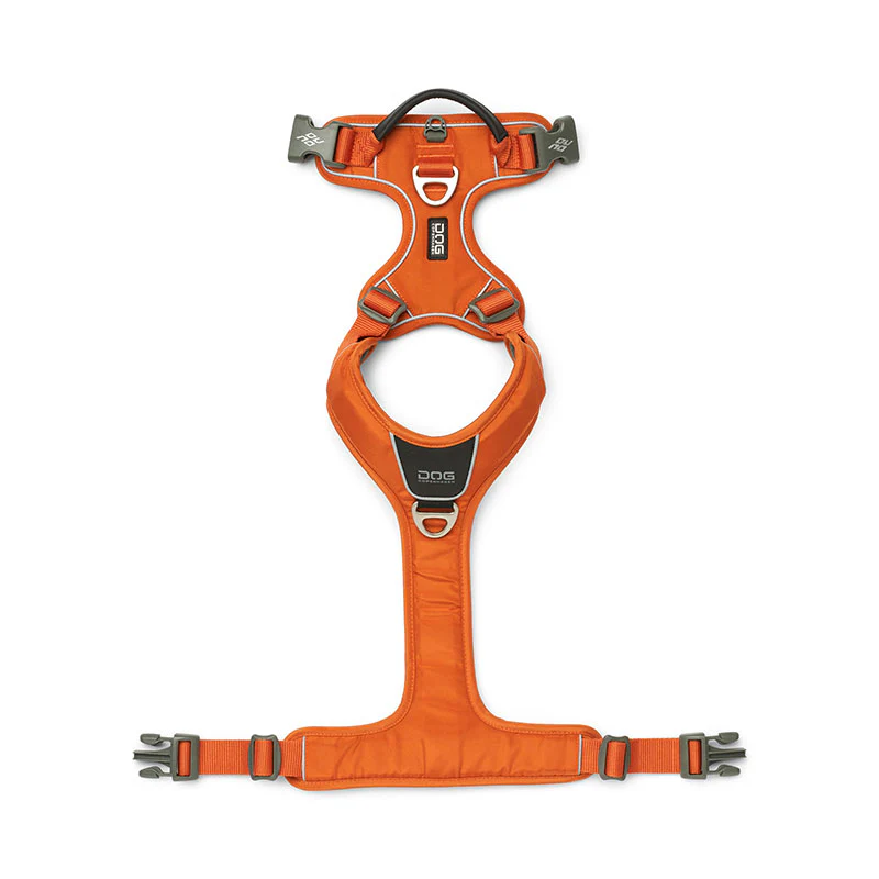 Comfort Walk Pro sele Orange - Image 8