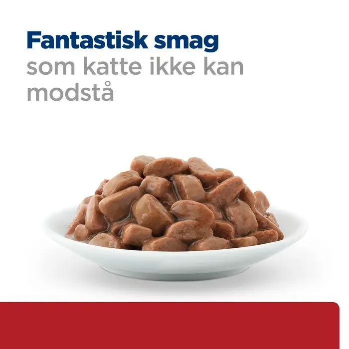 Diætetisk fuldfoder Digestive Care i/d 12x85 g - Image 3