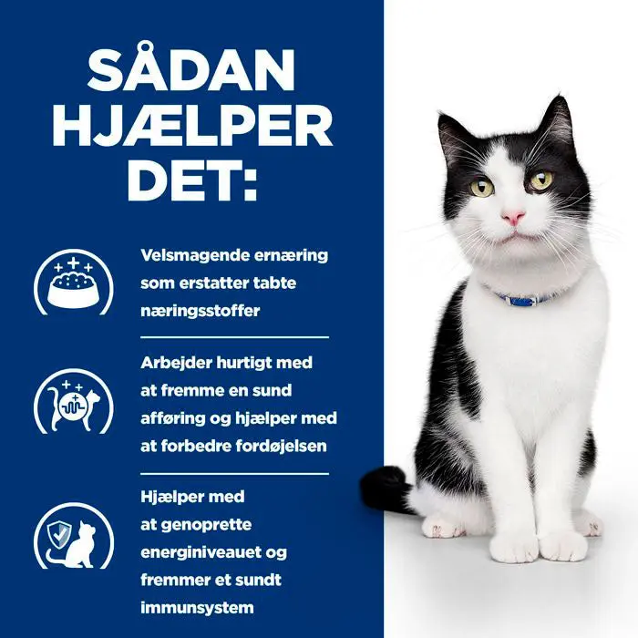 Diætetisk fuldfoder Digestive Care i/d 12x85 g - Image 4