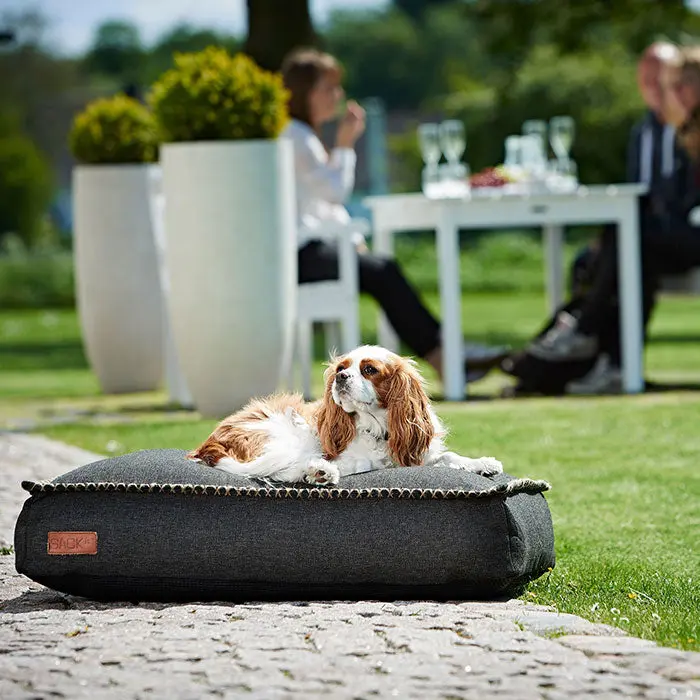 Dog bed Sort - Image 2