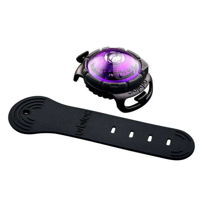 Dog Dual Lygte 48x30x24 mm lilla - Image 2