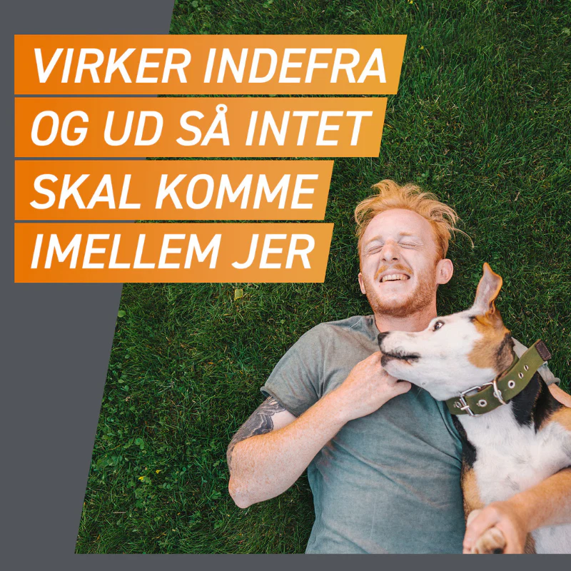 Flåt- & loppemiddel tyggetabletter hund 2-4 kg - 3 stk/pk - Image 5