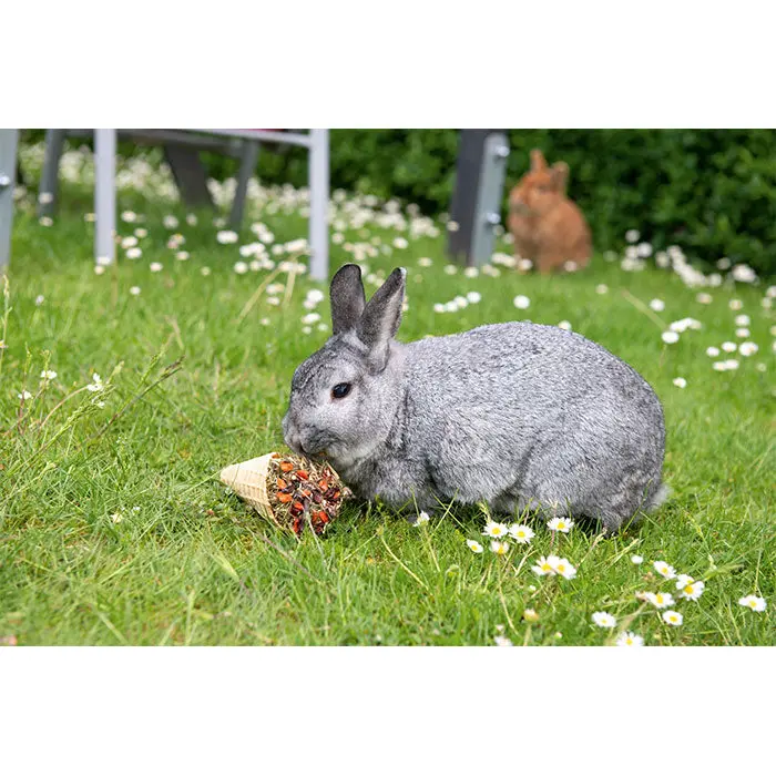 Gnaversnack Celebretion waffelcrossaint 60 g - Image 3