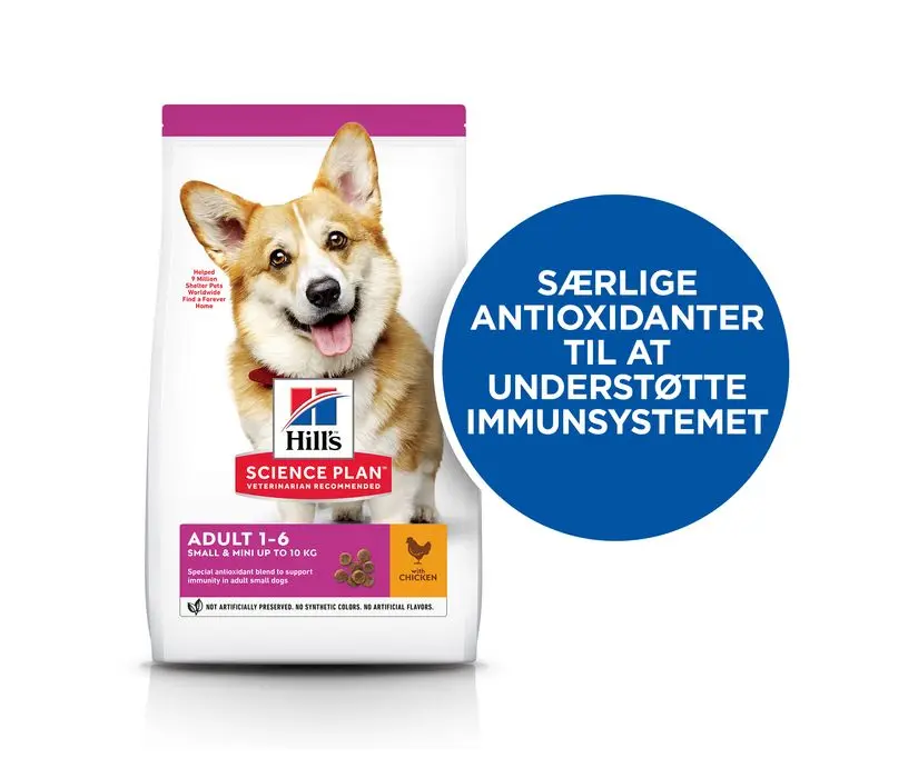 Adult Small & Mini kylling 1,5 kg - Image 5