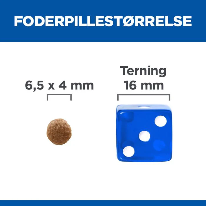 Miniaturebillede 2