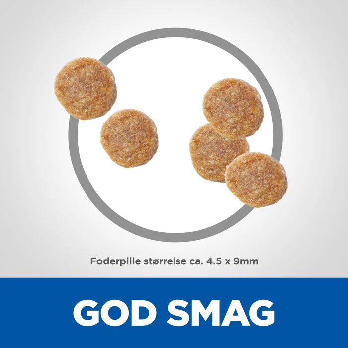 Miniaturebillede 2