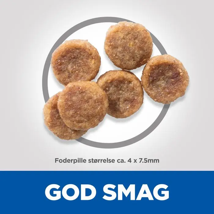 Miniaturebillede 2