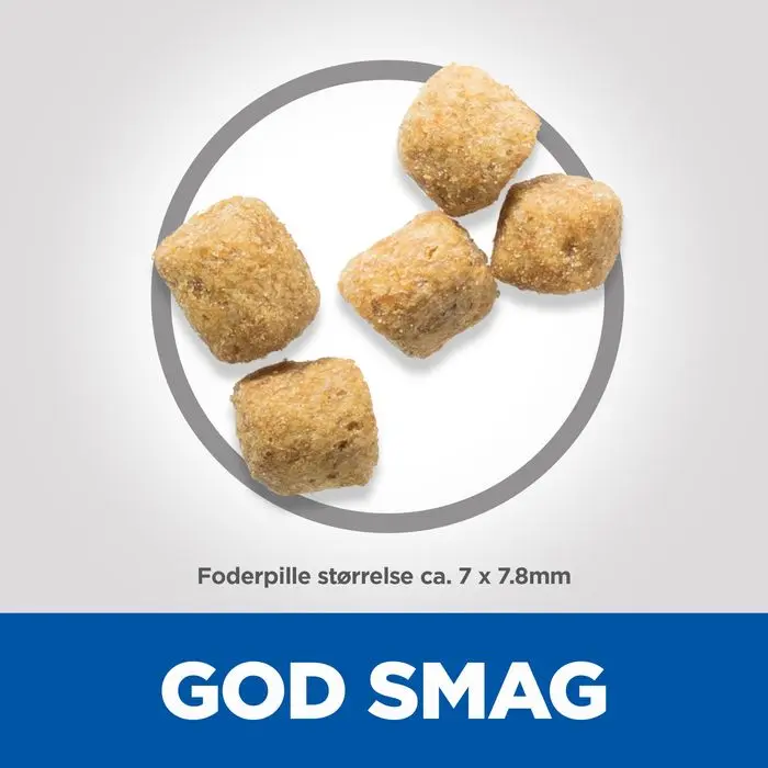 Miniaturebillede 2