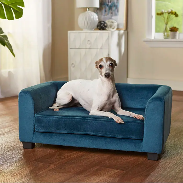 Hundesofa Surrey Blå - Image 3