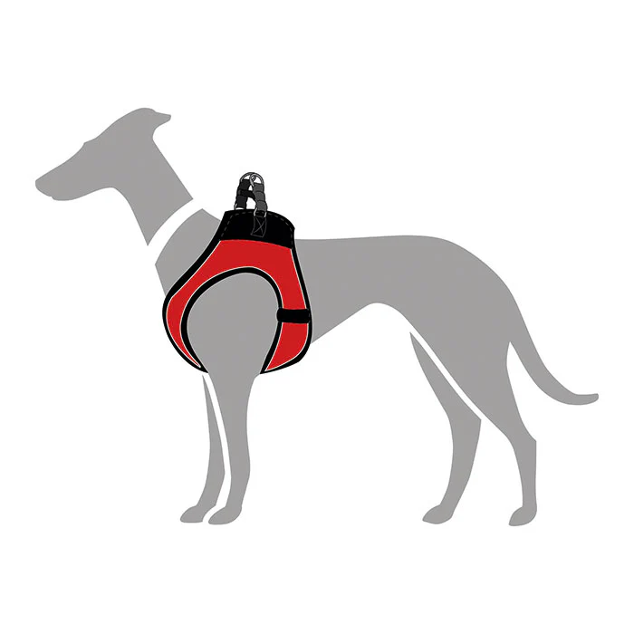 Hunter Hilo Comfort Hundesele hals 26-30cm bryst 31-33cm rød - Image 4