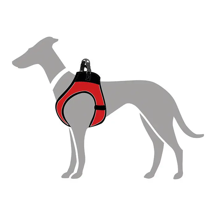 Hunter Hilo Comfort Hundesele hals 48-55cm bryst 52-58cm rød - Image 4