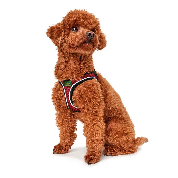 Hunter Hilo Comfort Hundesele hals 55-60cm bryst 58-65cm rød - Image 5