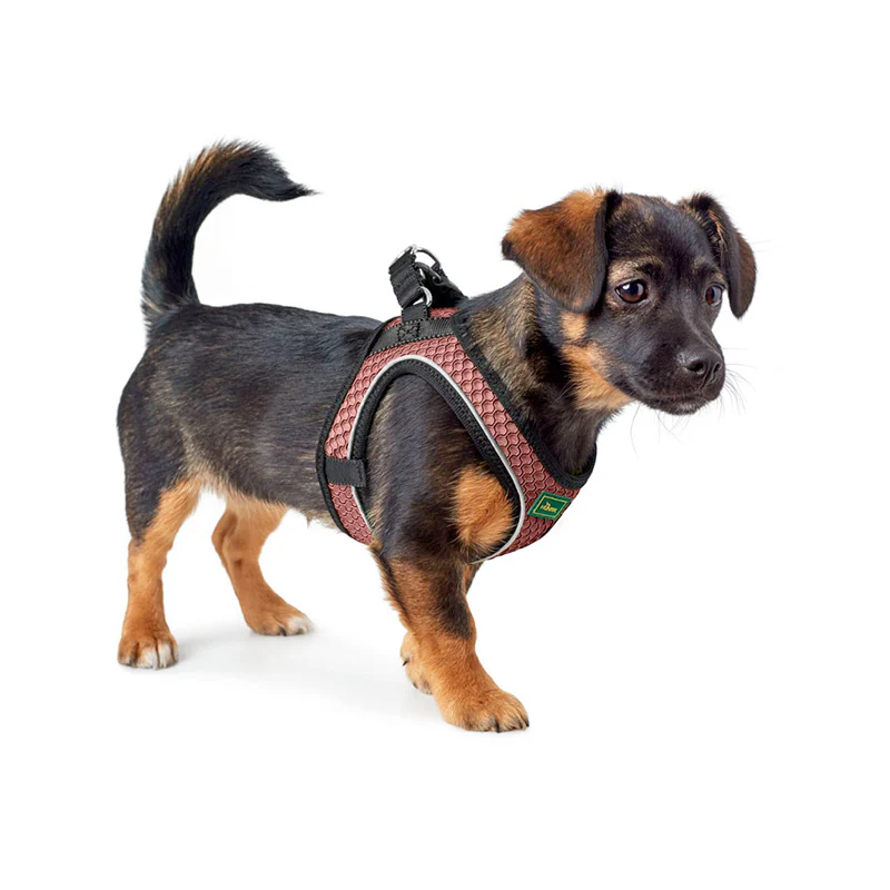 Hilo Comfort hundesele M-L 65-70 cm rosa - Image 4