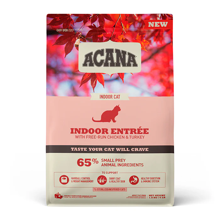 Indoor Entrée