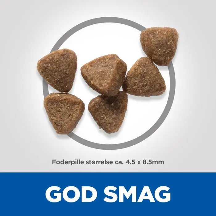 Miniaturebillede 2