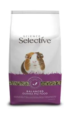 Marsvin adult 3 kg