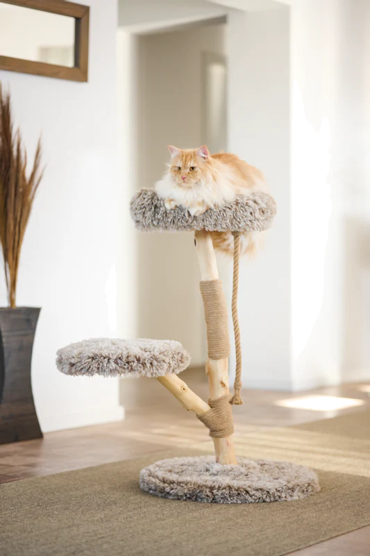 Miniaturebillede 2