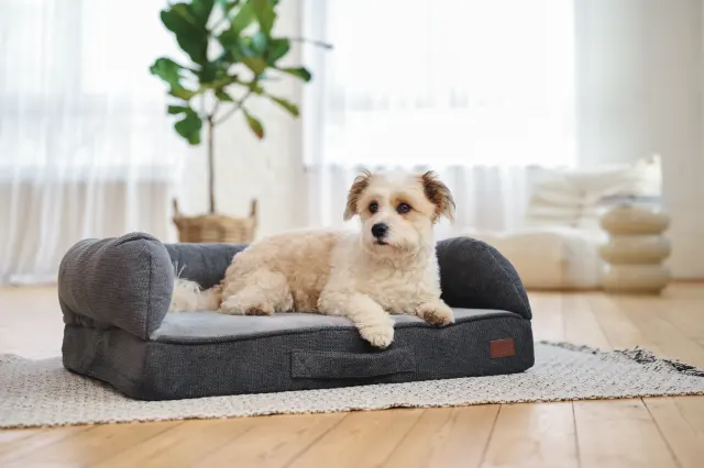 Hundeseng Ortho Supreme L 100x70x26 cm - Image 2