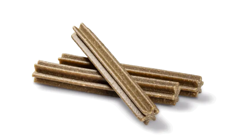 Dental Care Sticks Medium mint 28 stk - Image 2