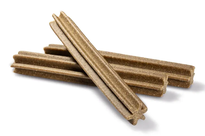 Dental Care Sticks X-large mint 20 stk - Image 2