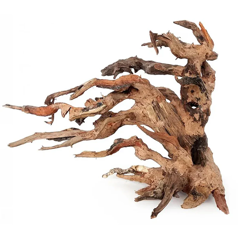 Akvariedek. Bonsai rodm 25x20x14 cm