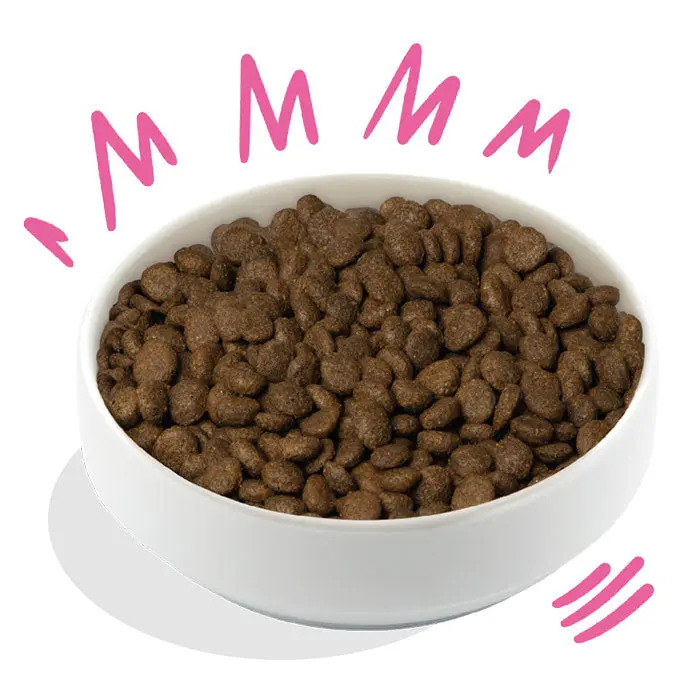Miniaturebillede 2
