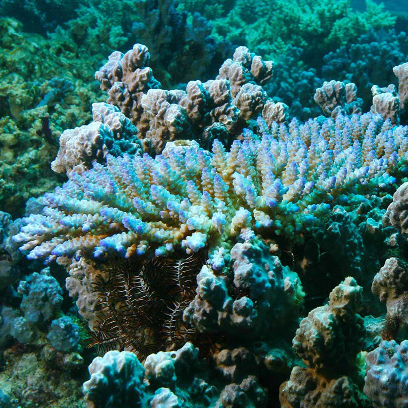 ProAqua vandtest CA Calcium - Image 6