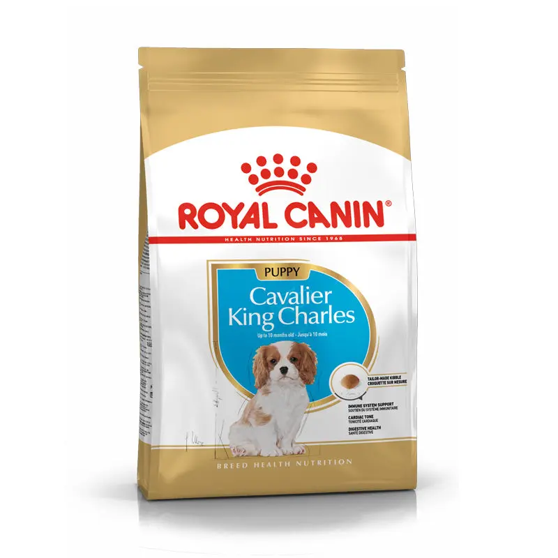 Puppy Cavalier King Charles 1,5 kg