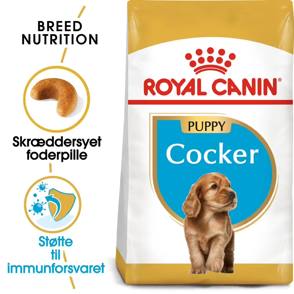 Puppy Cocker Spaniel 3 kg - Image 2