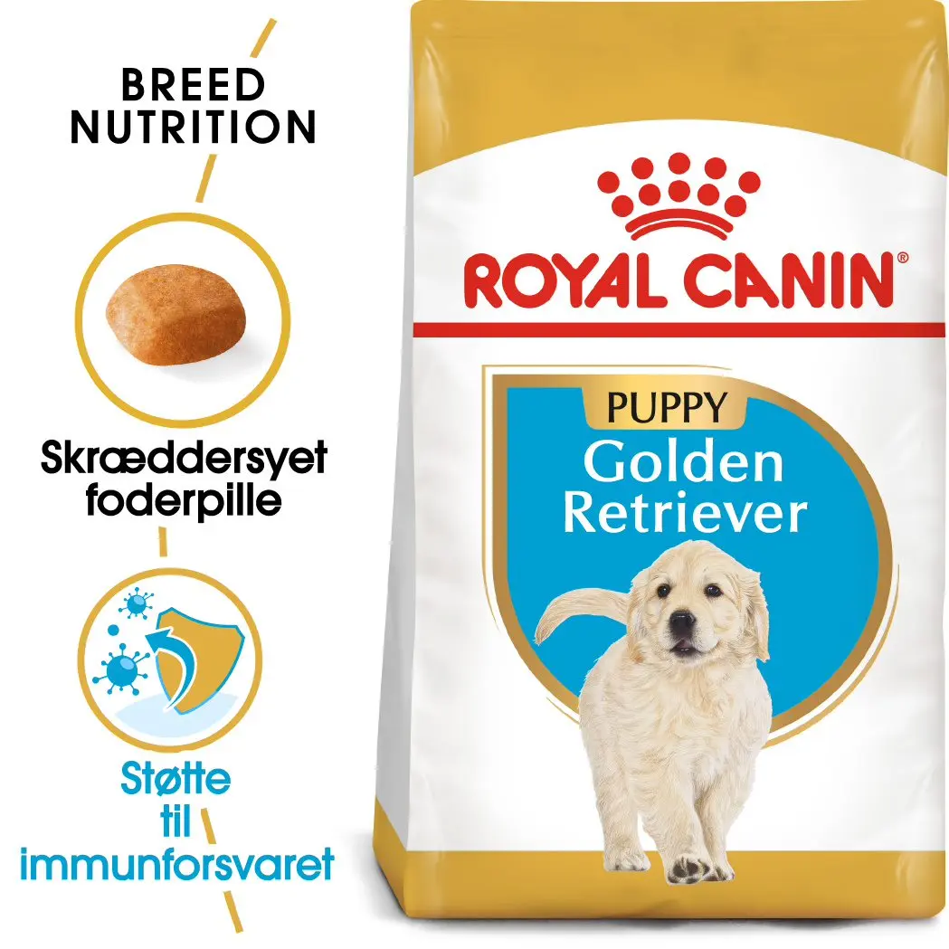 Puppy Golden Retriever 12 kg - Image 2